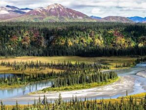 The Ultimate Alaskan Travel Experience