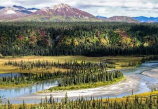 7657The Ultimate Alaskan Travel Experience